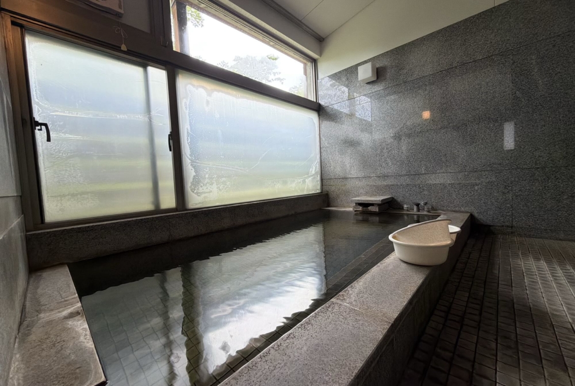Premium RC Property by Myoko Ikenotaira Slopes