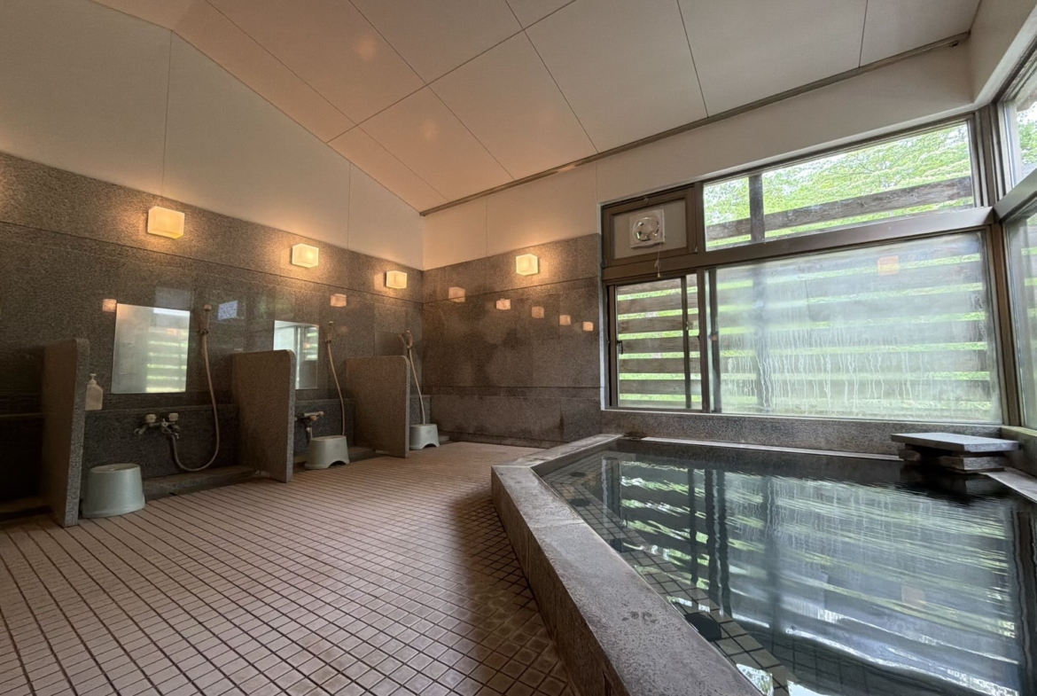 Premium RC Property by Myoko Ikenotaira Slopes